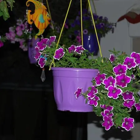 Traditional The Small Museum Ionian Sea