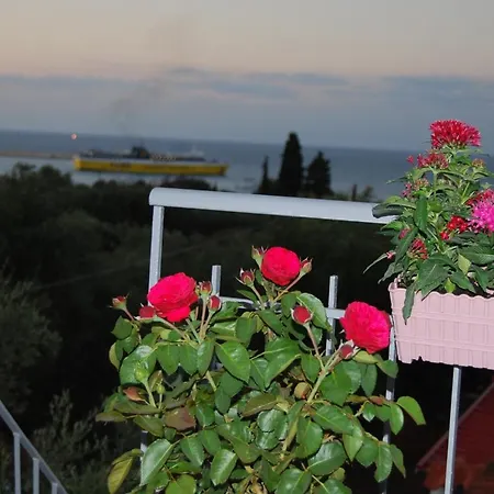 Gasthof Traditional The Small Museum Ionian Sea *