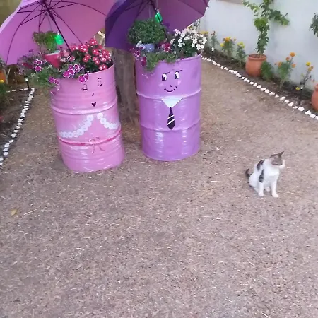 Traditional The Small Museum Ionian Sea Kastro-Kyllini