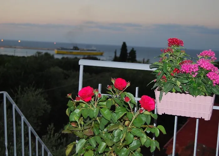 Gasthuis Traditional The Small Museum Ionian Sea 3*