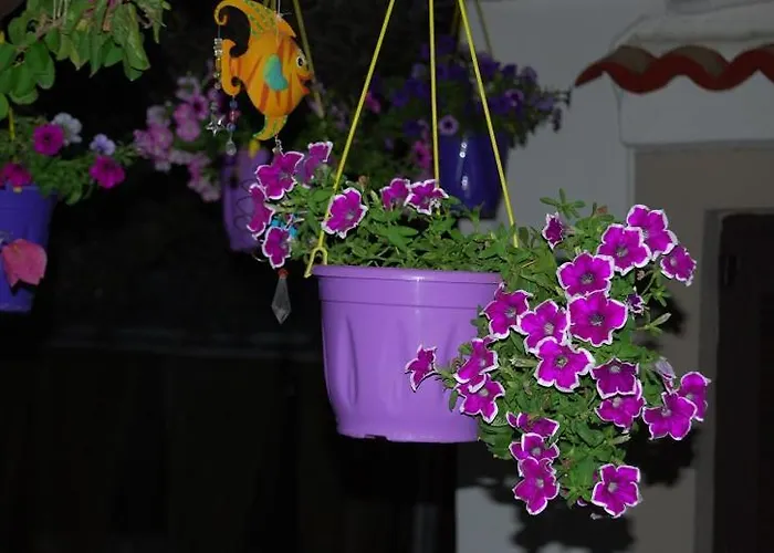 Traditional The Small Museum Ionian Sea