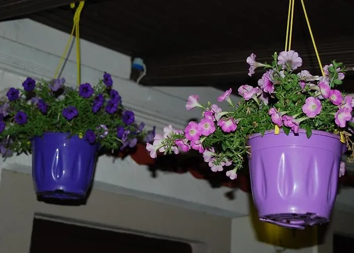 Traditional The Small Museum Ionian Sea Guest house 3*