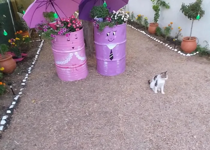 Traditional The Small Museum Ionian Sea Kastro-Kyllini